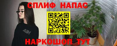 наркотики Ставрополь